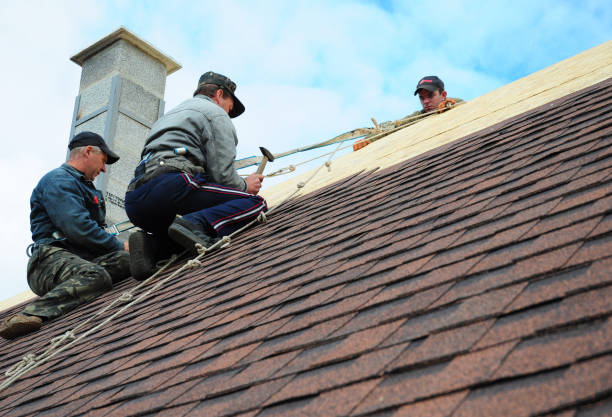 Best Shingle Roofing Installation  in Spearfish, SD